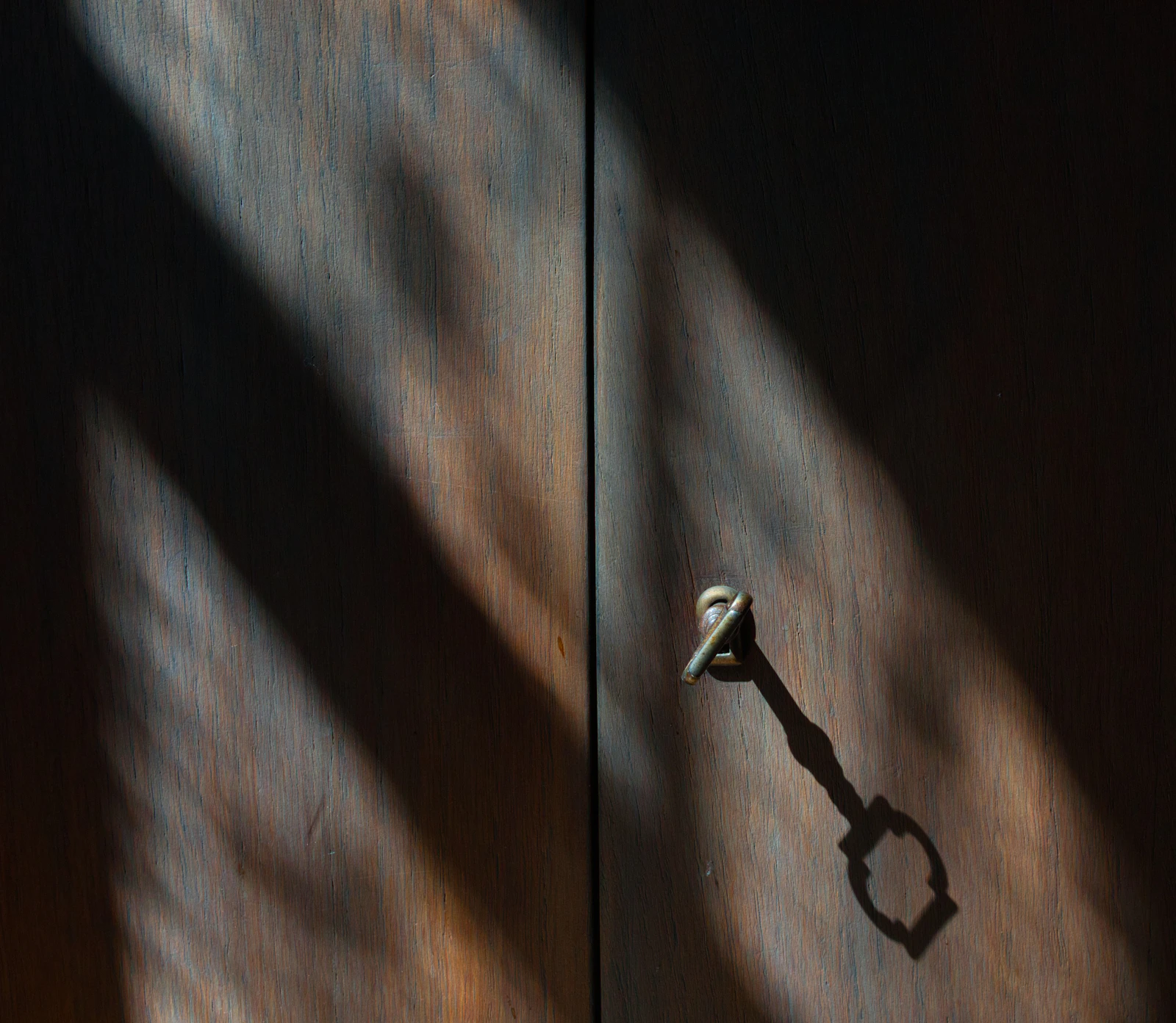 Sunlight across a dark wooden door and handle